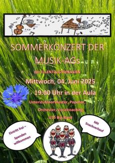 SOMMERKONZERT DER MUSIK-AGS